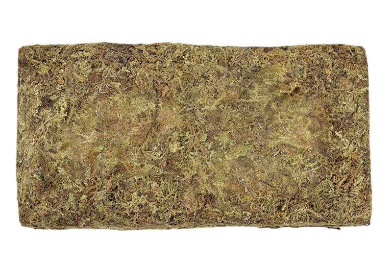 Trocken-Moos 100g